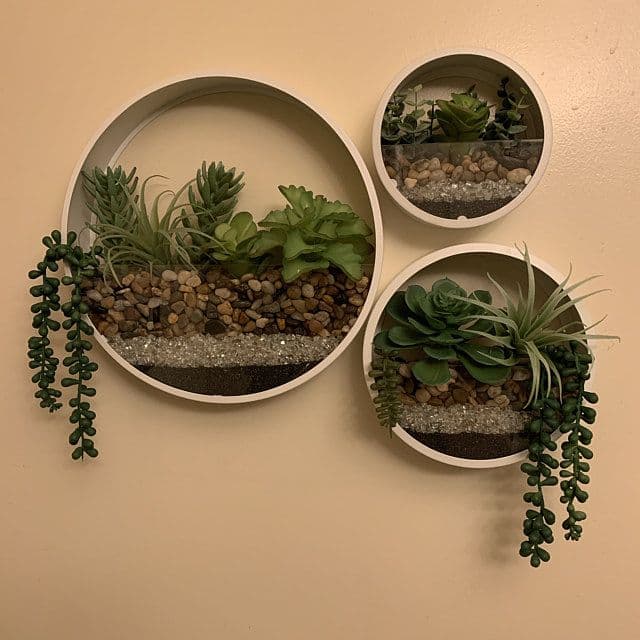 CocoBloom Wall Planters (Set of 3)
