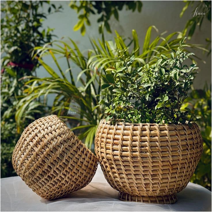 BloomWeave Planter Basket