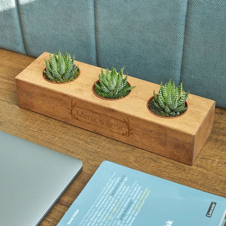PlantNest Desktop Planter