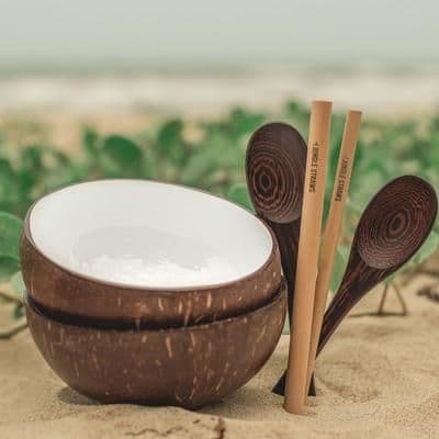 Coconut Shell Bowls (set of 2)