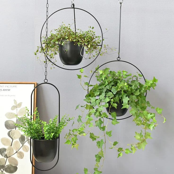 BreathePot Hanging Planter